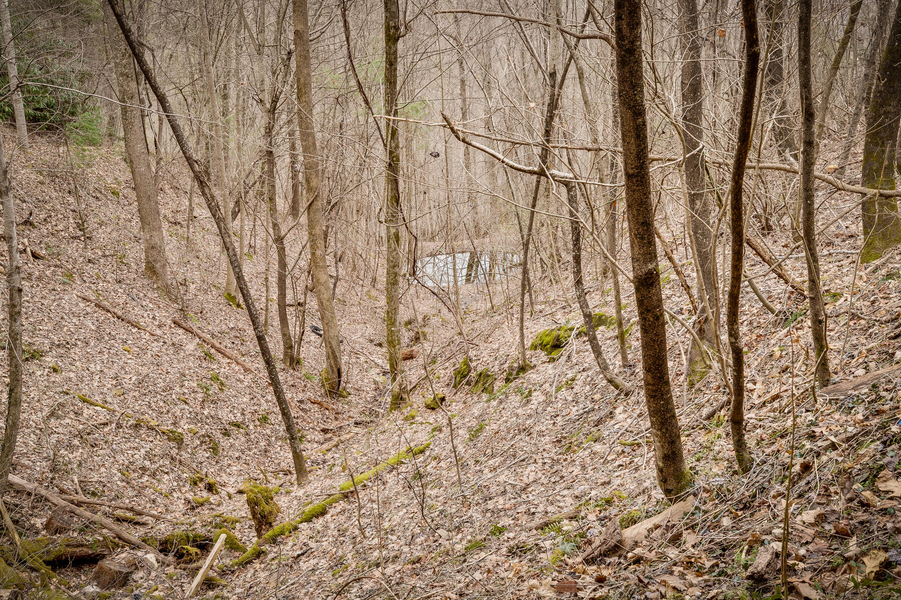 Tbd Harris Hollow Road, Erwin, Tennessee image 14