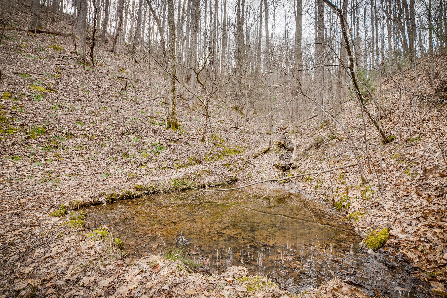Tbd Harris Hollow Road, Erwin, Tennessee image 13