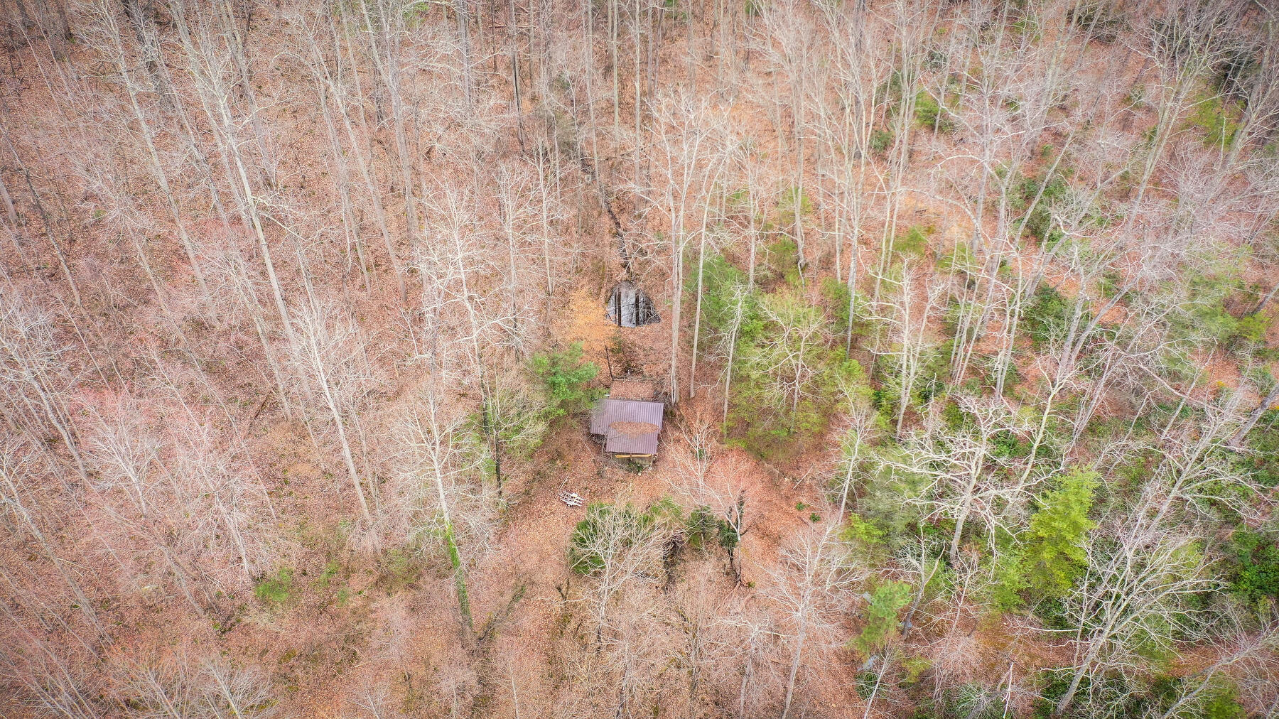Tbd Harris Hollow Road, Erwin, Tennessee image 24
