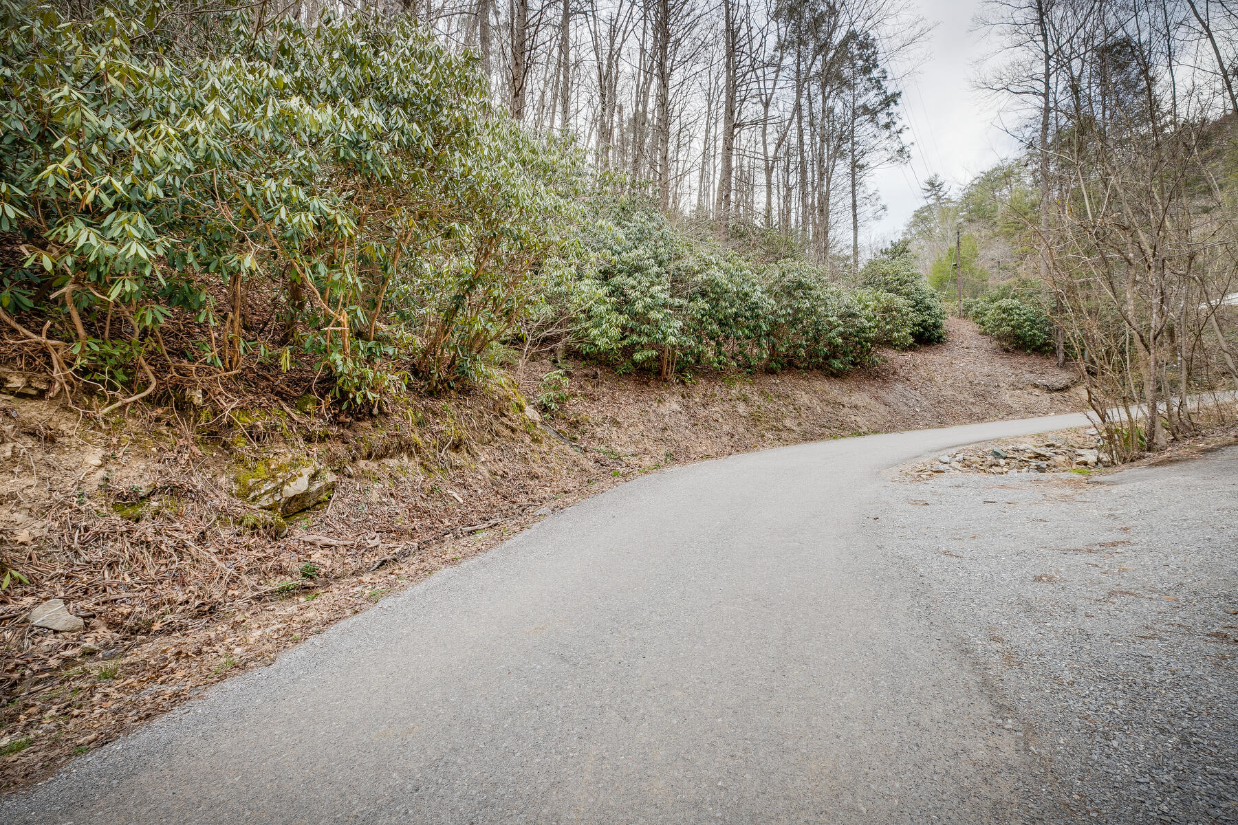 Tbd Harris Hollow Road, Erwin, Tennessee image 20