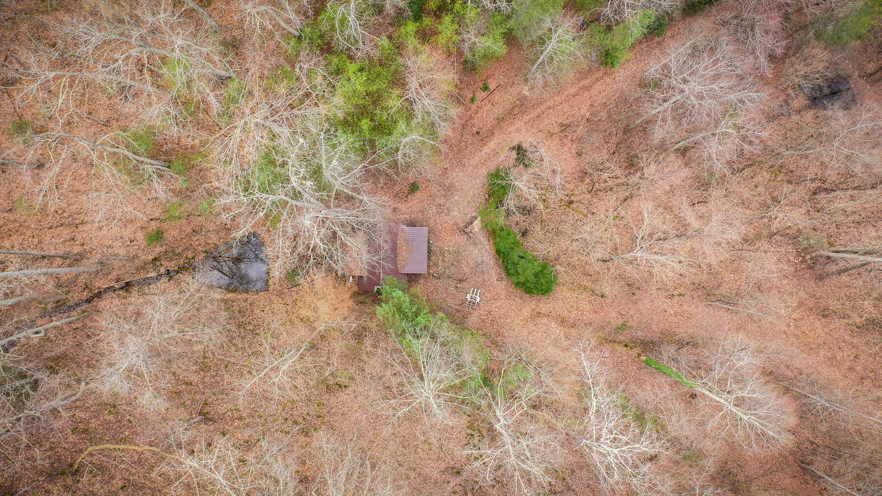 Tbd Harris Hollow Road, Erwin, Tennessee image 25