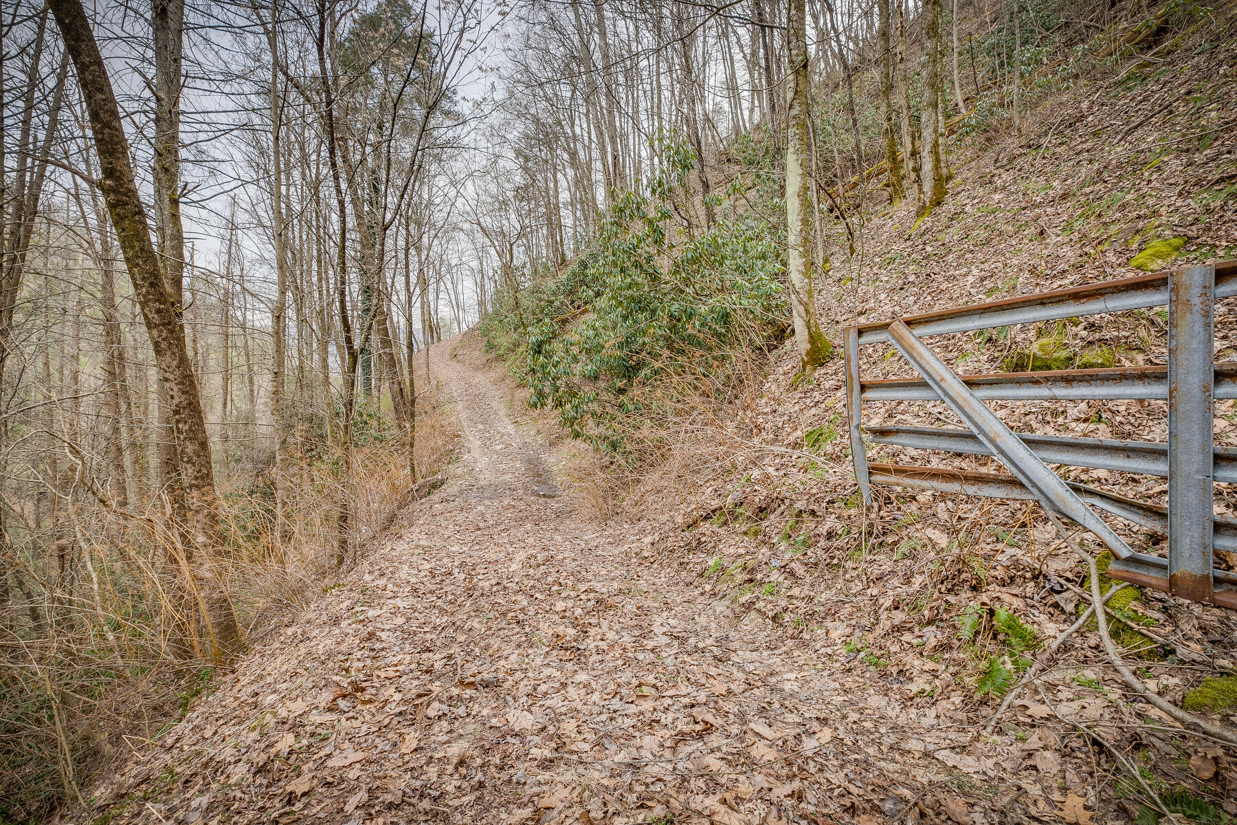 Tbd Harris Hollow Road, Erwin, Tennessee image 18