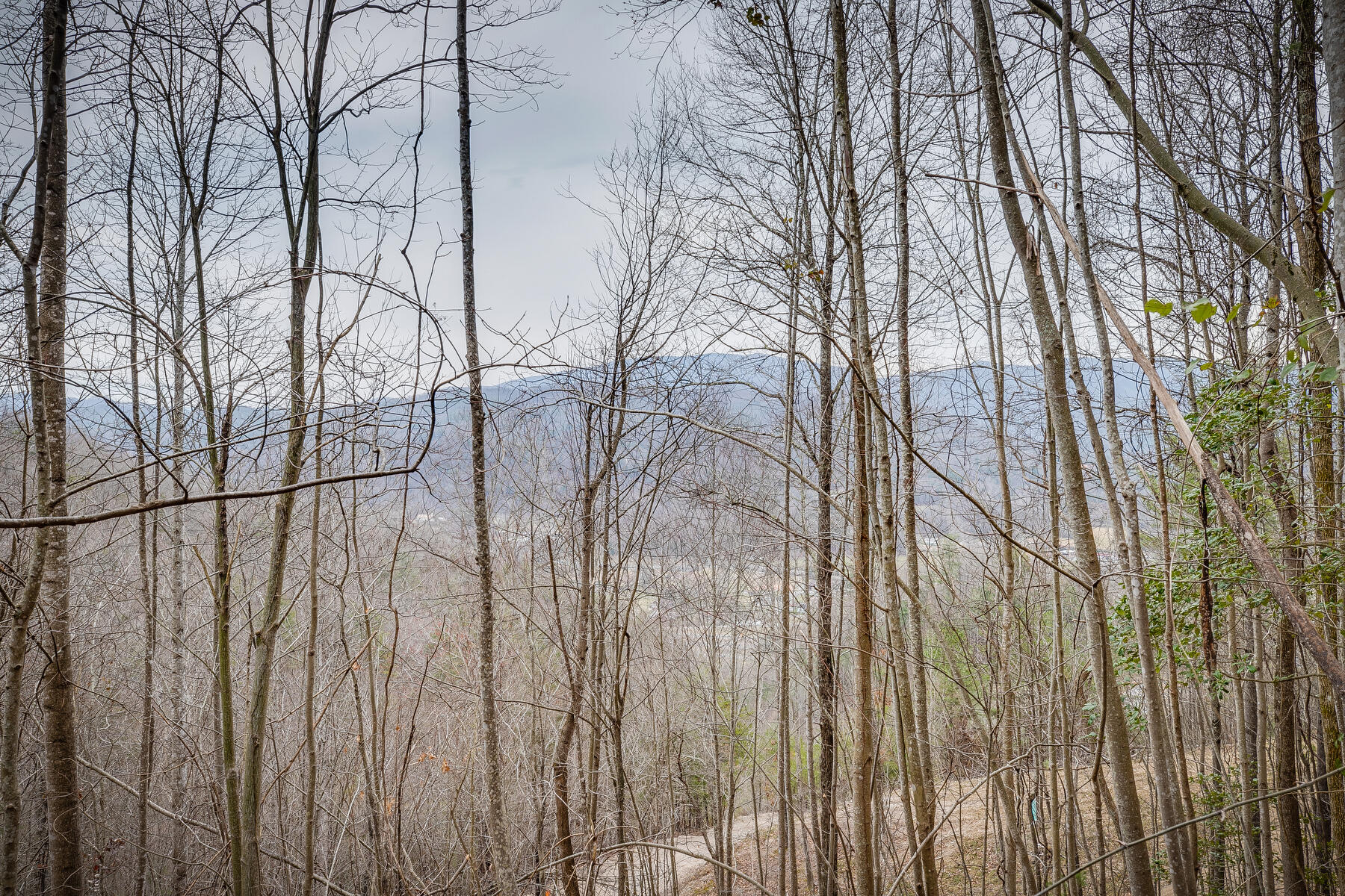 Tbd Harris Hollow Road, Erwin, Tennessee image 16