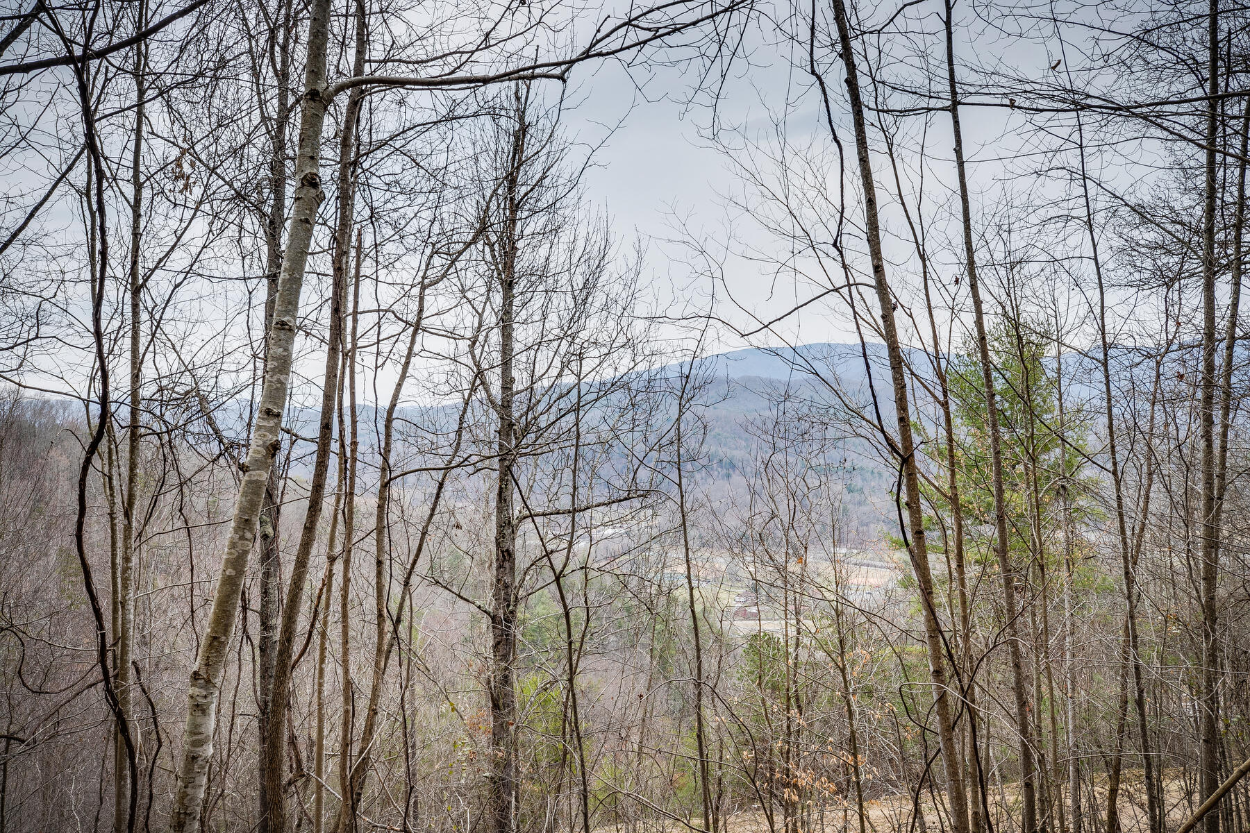 Tbd Harris Hollow Road, Erwin, Tennessee image 15