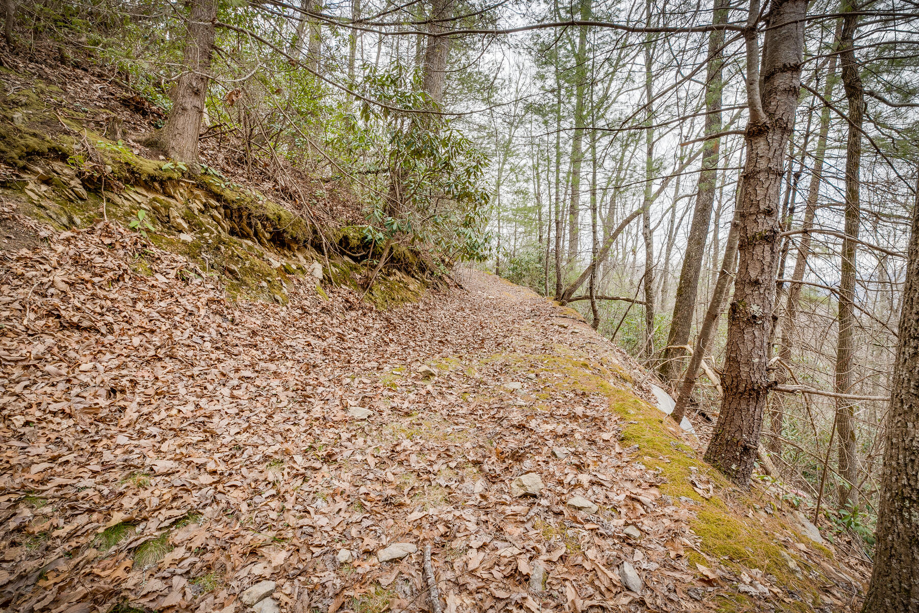 Tbd Harris Hollow Road, Erwin, Tennessee image 17