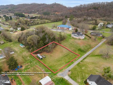 Vacant Land For Sale - Main Street<br/> Rogersville, TN 37857