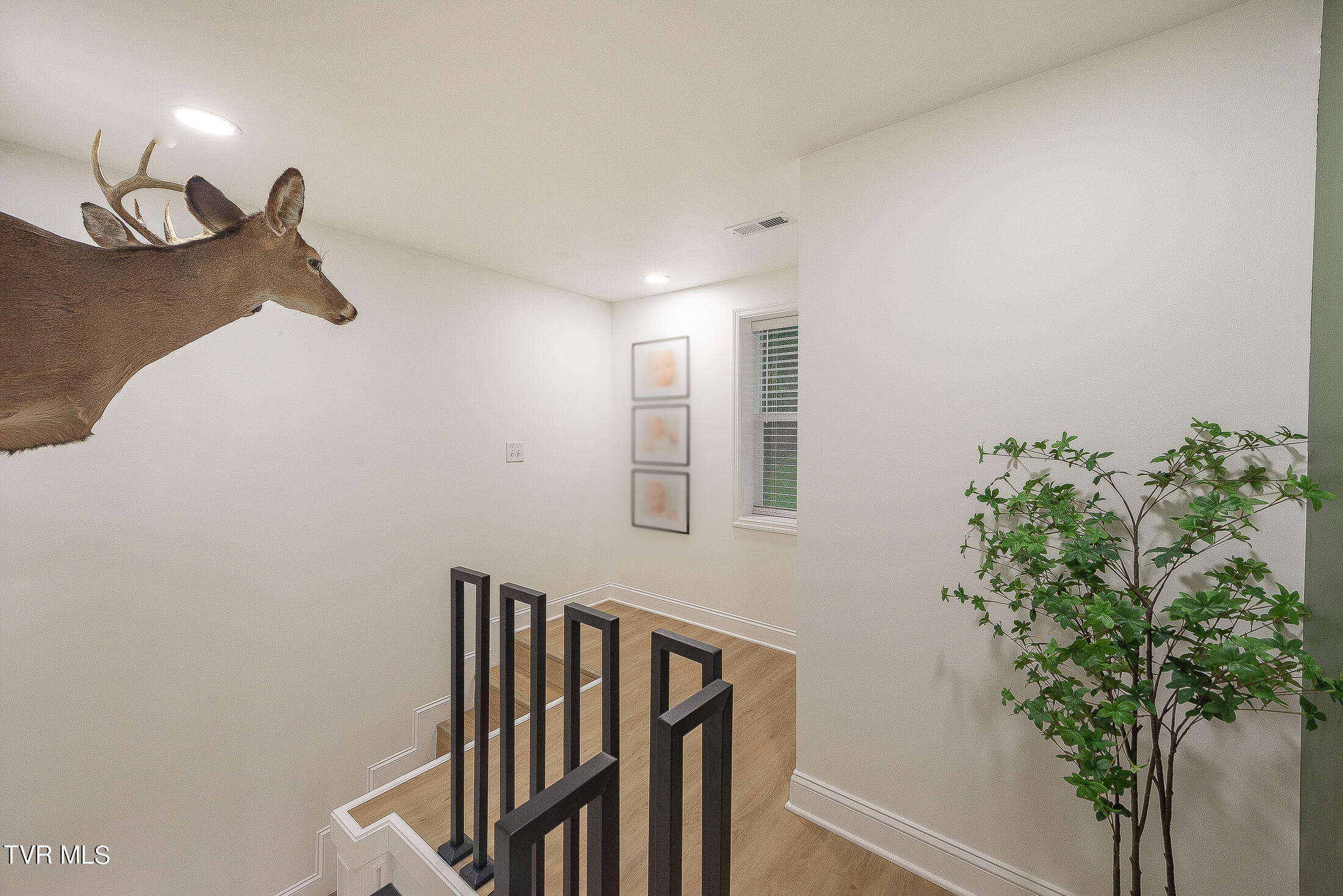 133 Tower Drive, Gate City, Virginia image 10