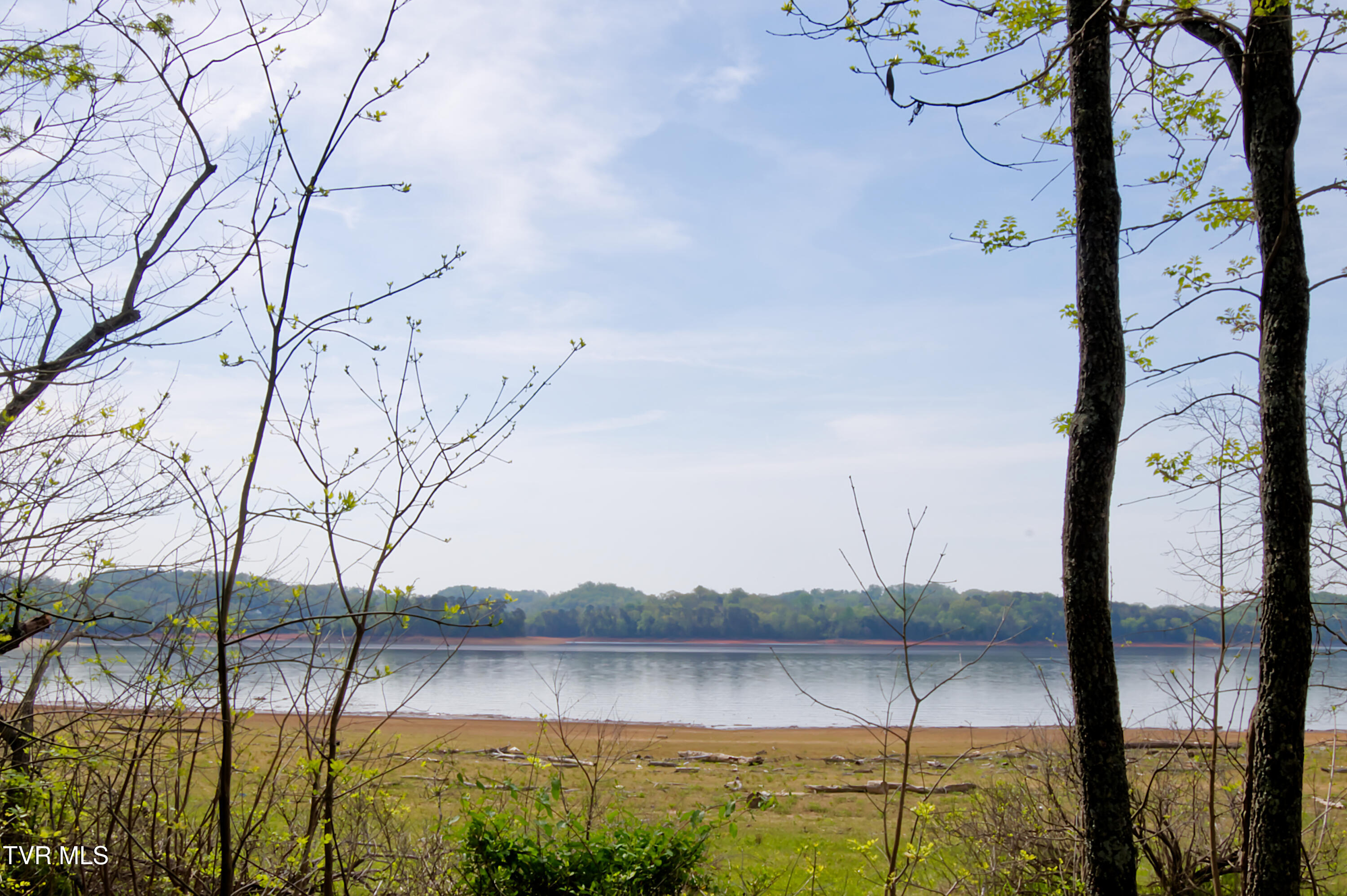 9056 Paradise View Drive, Mooresburg, Tennessee image 4