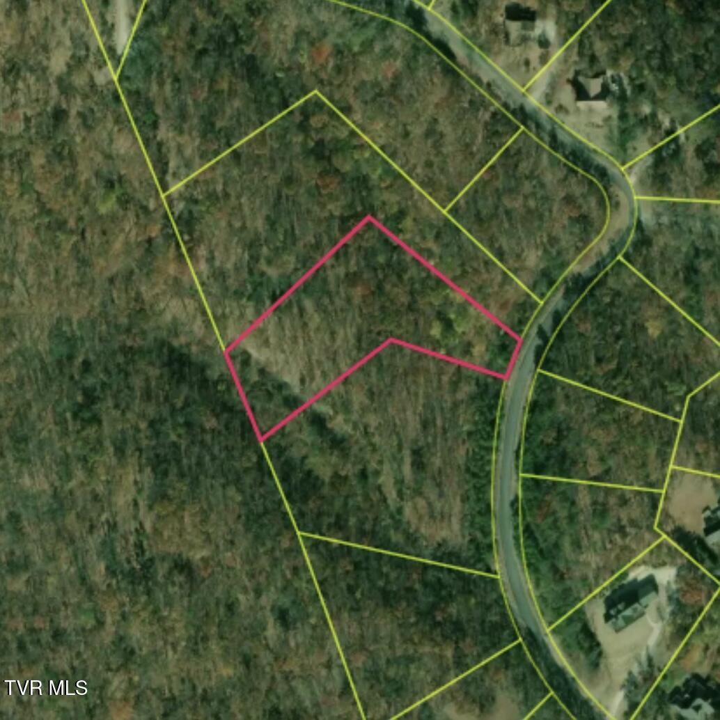 9056 Paradise View Drive, Mooresburg, Tennessee image 1