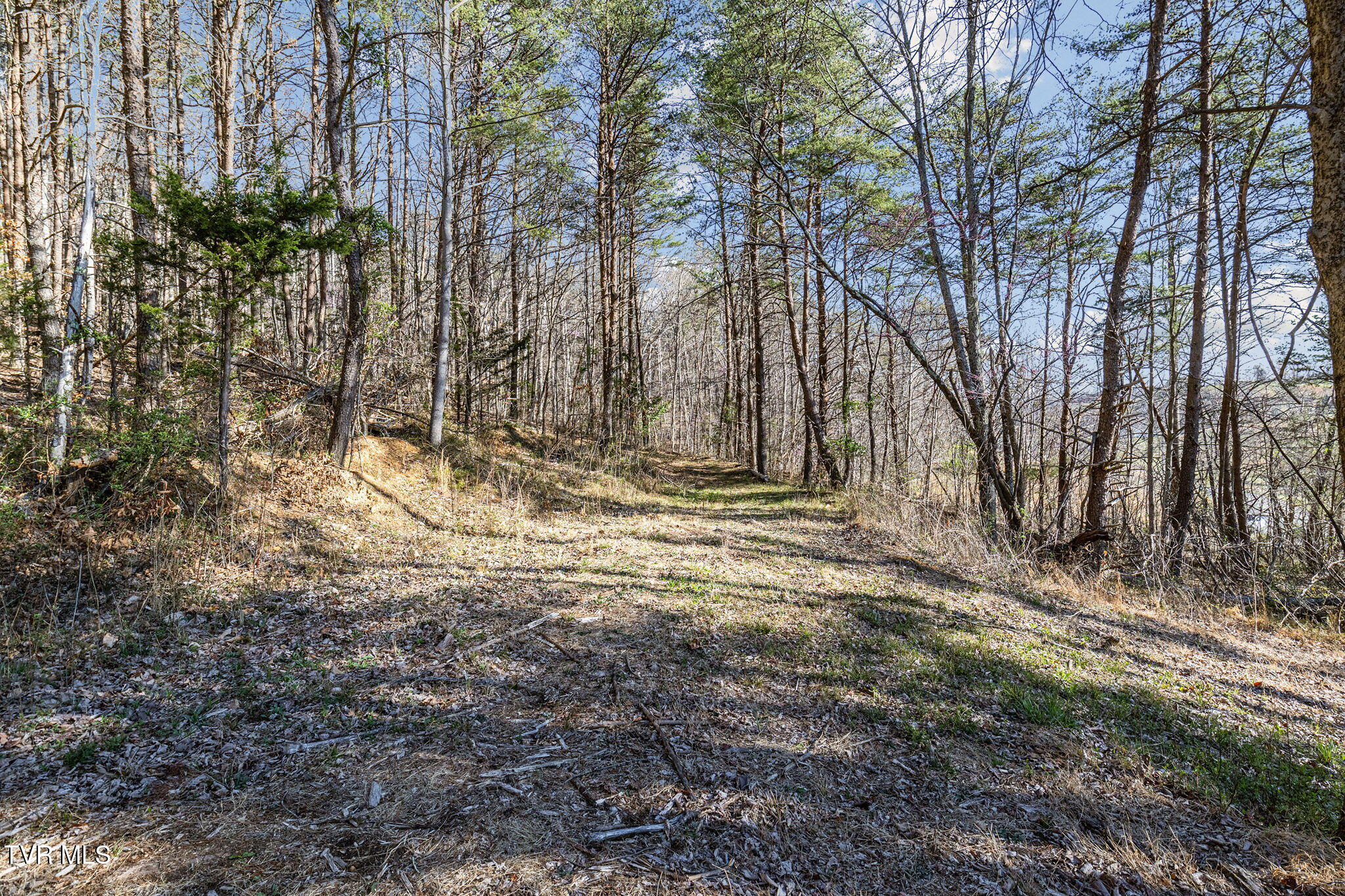 Little Meadow Creek Road, Greeneville, Tennessee image 15