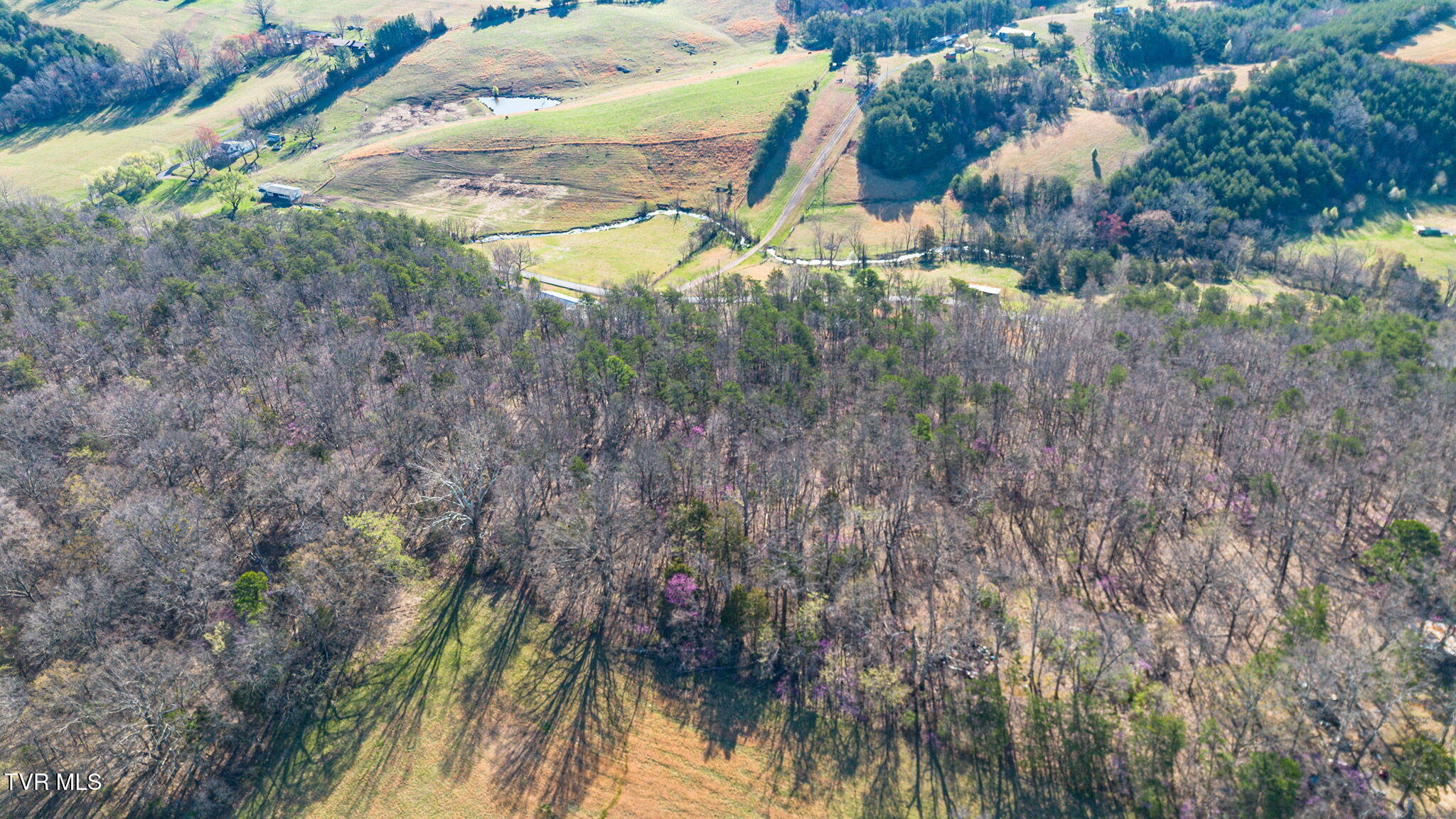 Little Meadow Creek Road, Greeneville, Tennessee image 8