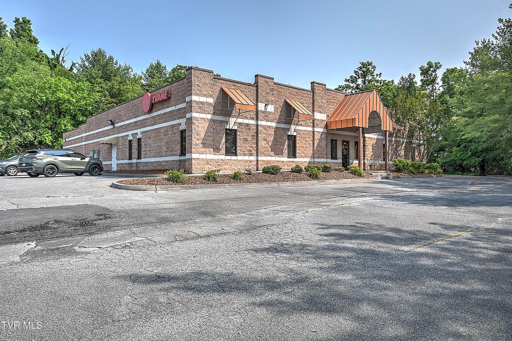 Photo of 10384 Wallace Alley Street, Kingsport, TN 37663 (MLS # 9991892)