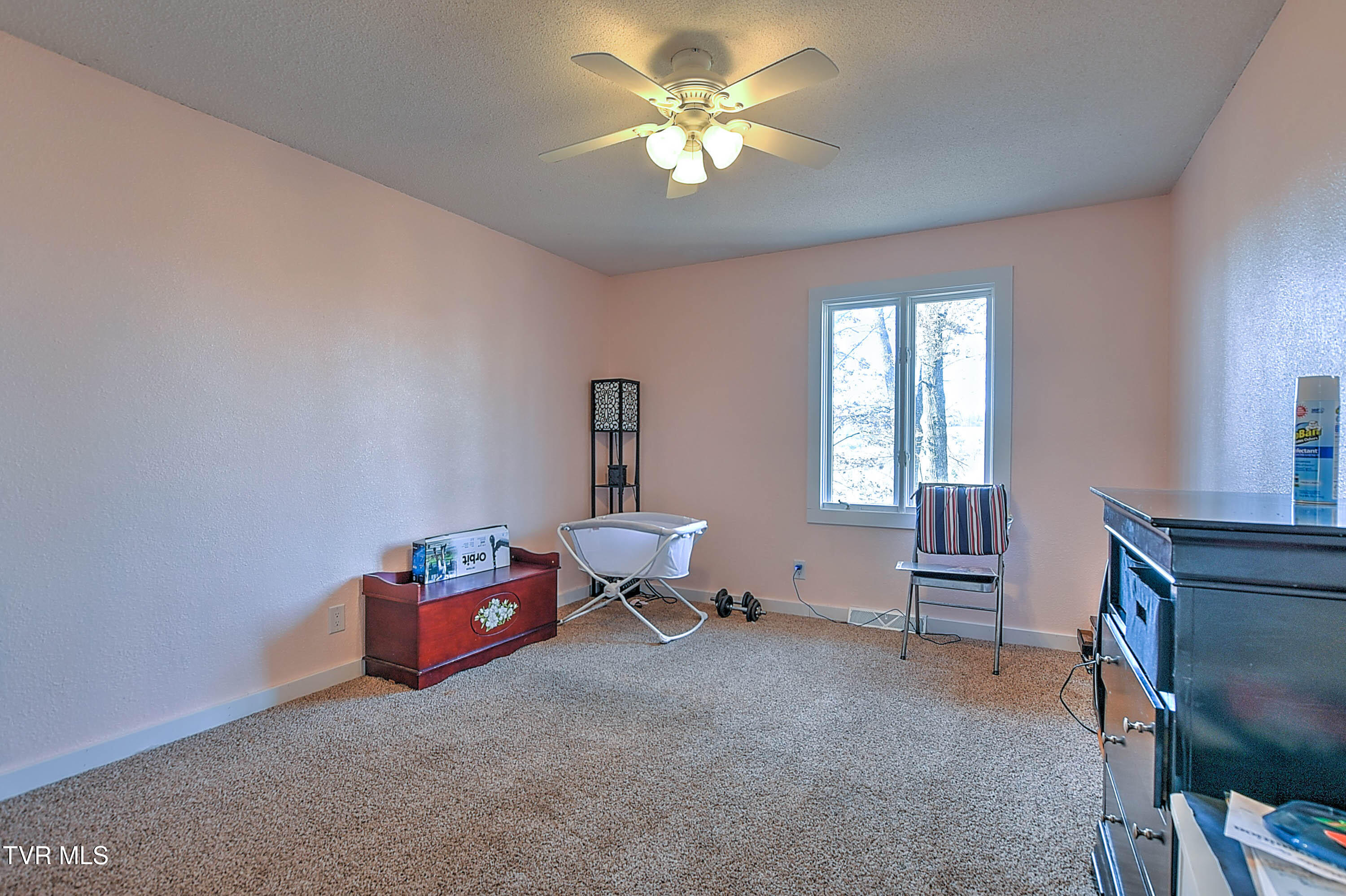 376 Highland Road, Jonesborough, Tennessee image 23