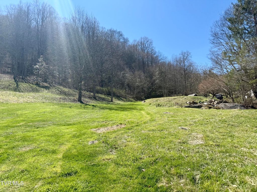 Photo of 111 Doty Road, Roan Mountain, TN 37687 (MLS # 9993004)