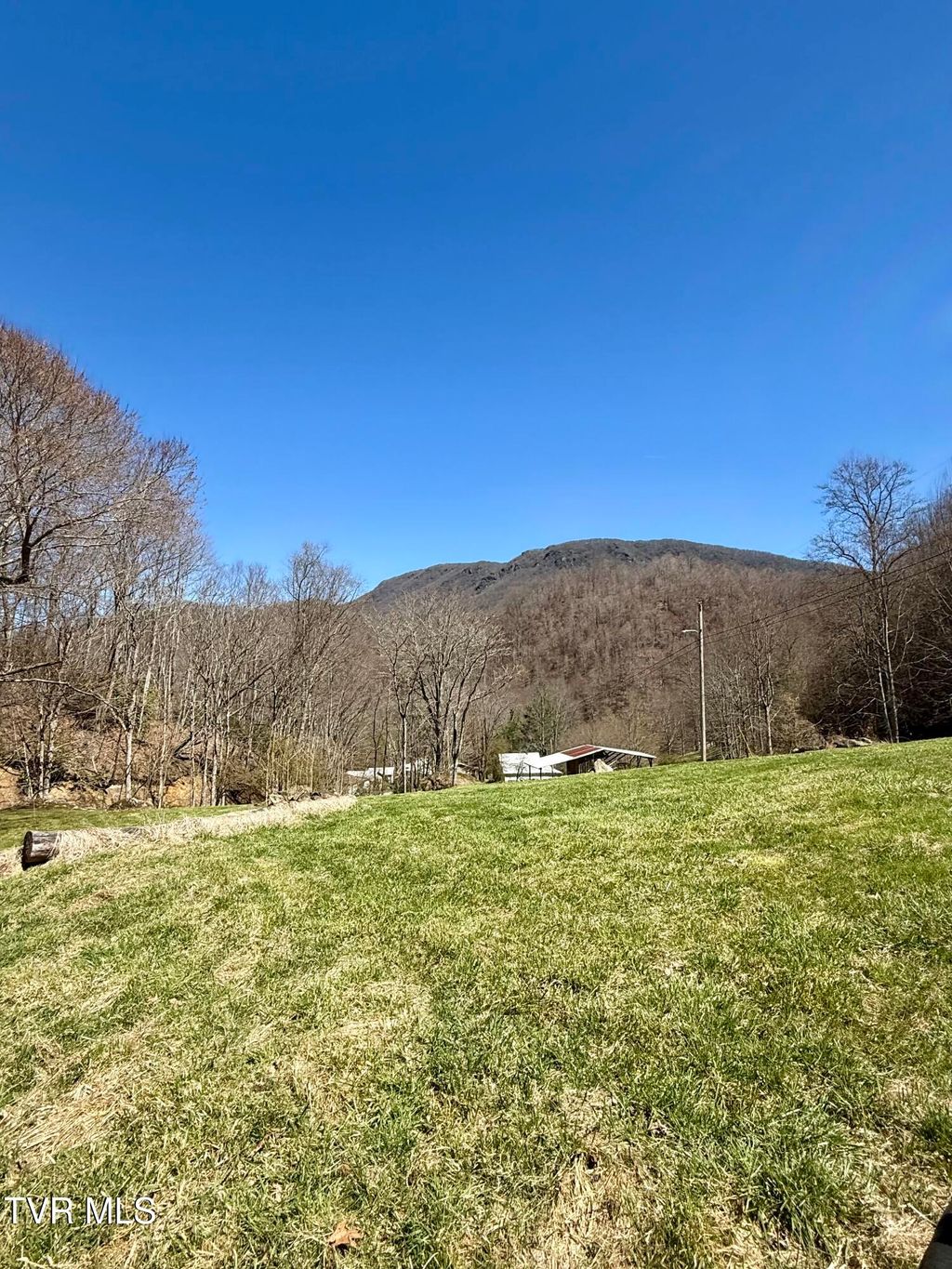 Photo of 111 Doty Road, Roan Mountain, TN 37687 (MLS # 9993004)