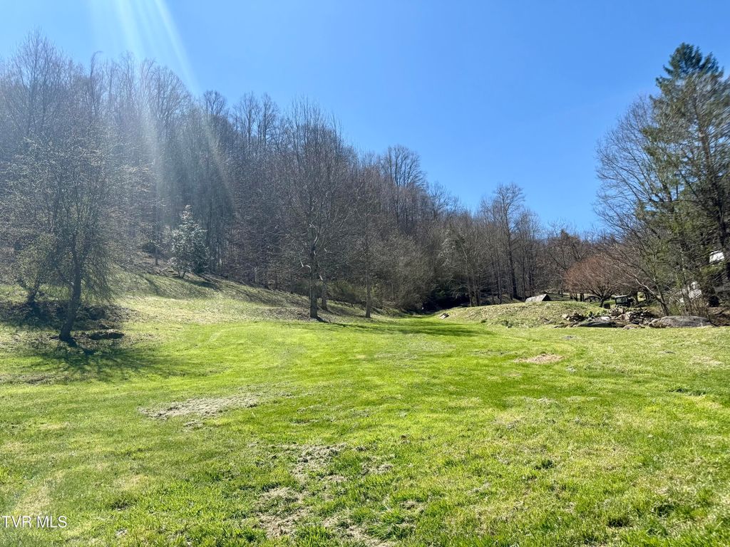 Photo of 111 Doty Road, Roan Mountain, TN 37687 (MLS # 9993004)