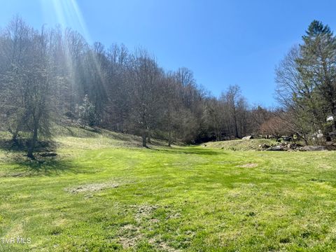 Vacant Land For Sale - 111 Doty Road<br/> Roan Mountain, TN 37687