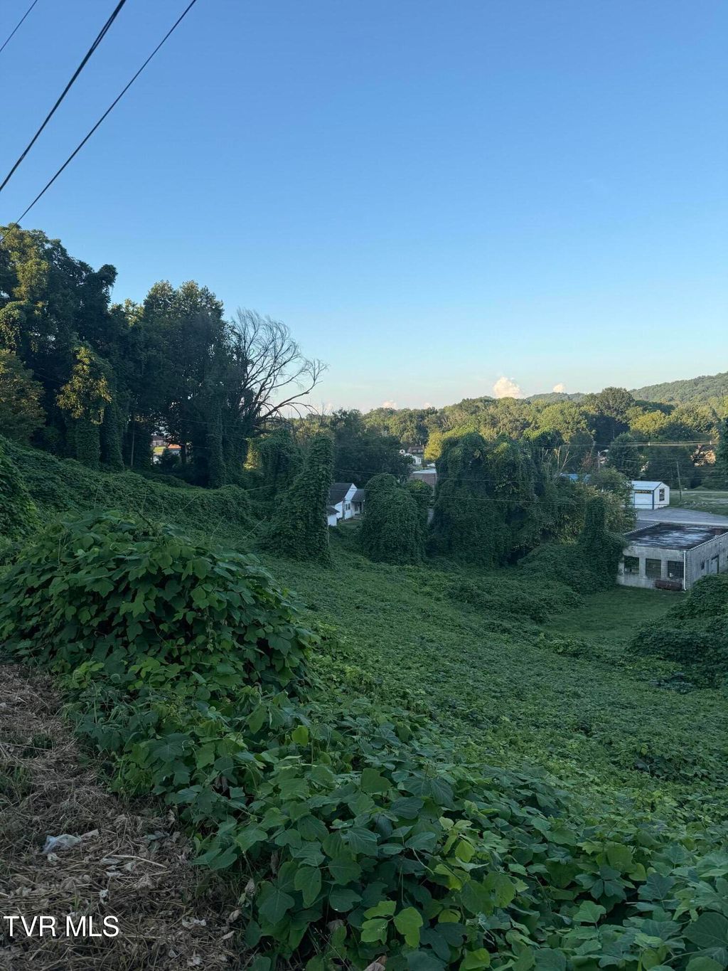 Photo of 16 Birdwell, Kingsport, TN 37664 (MLS # 9984756)