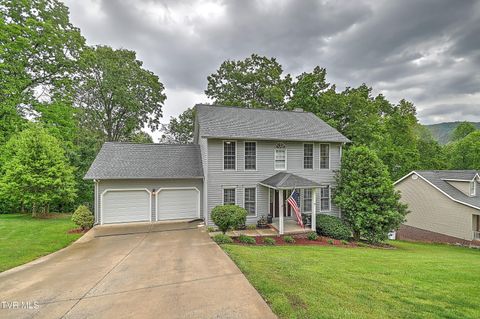 Photo of 766 Moccasin Hills Drive, Gate City, VA 24251 (MLS # 9995441)