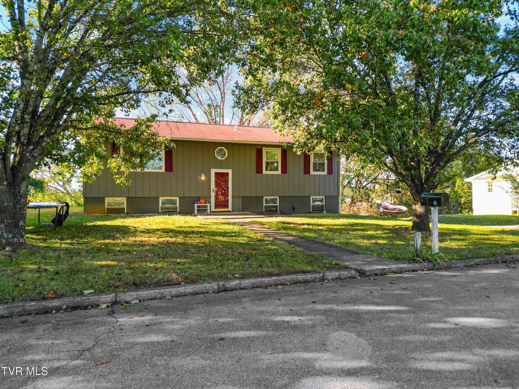Photo of 115 Cedar Street, Greeneville, TN 37743 (MLS # 9988274)