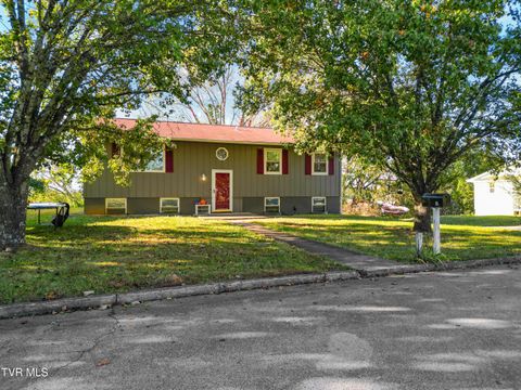 Photo of 115 Cedar Street, Greeneville, TN 37743 (MLS # 9988274)