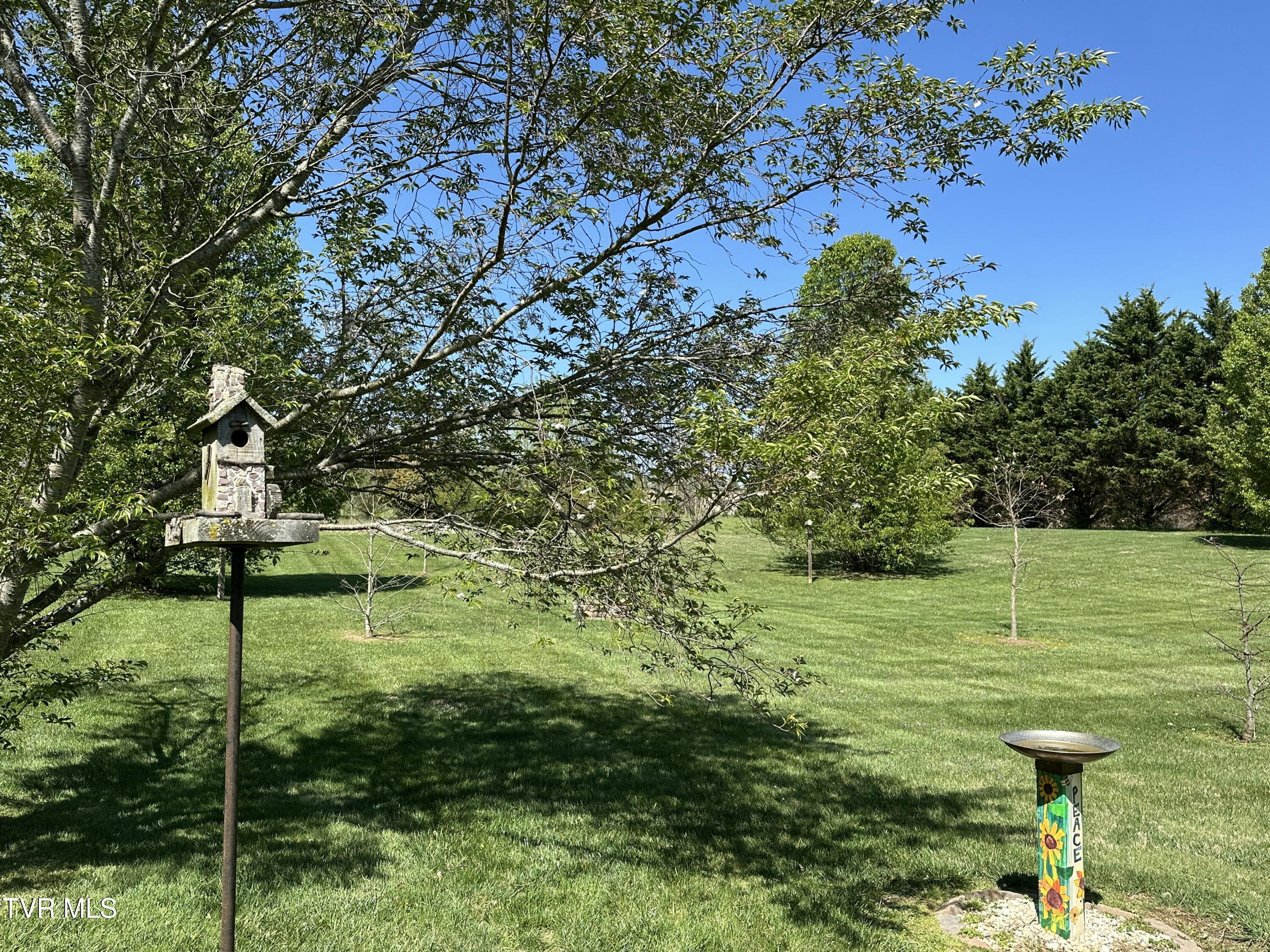423 447 Douglas Chapel Road, Jonesborough, Tennessee image 23