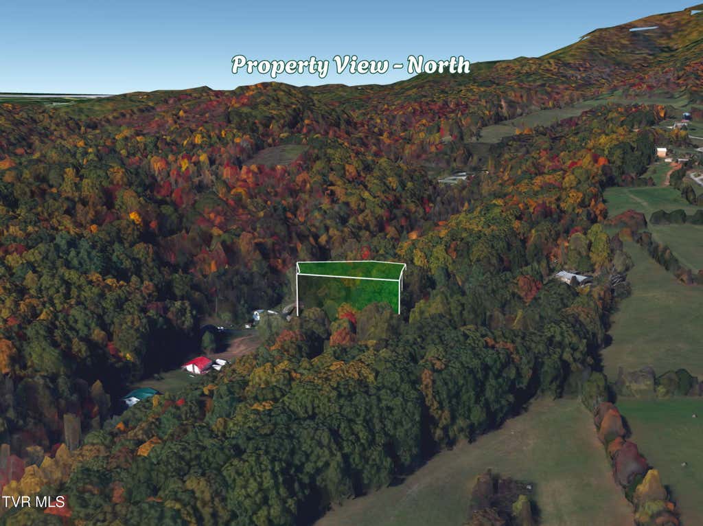 Photo of 110 Hillsboro Drive, Elizabethton, TN 37643 (MLS # 9999944)