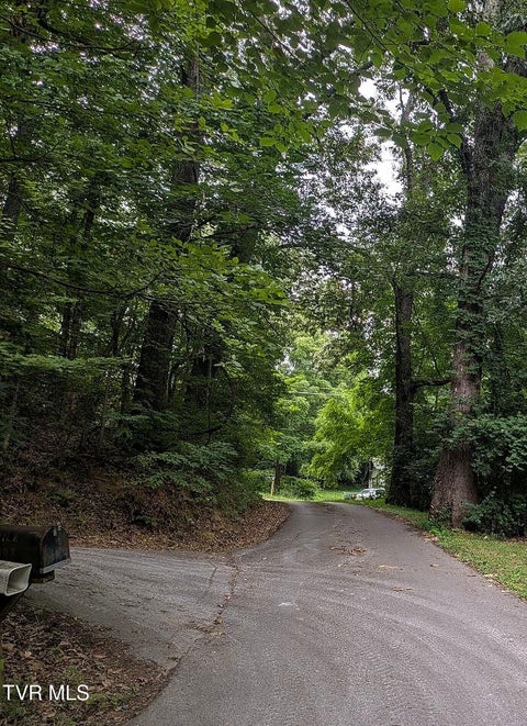 Vacant Land For Sale - 110 Hillsboro Drive<br/> Elizabethton, TN 37643