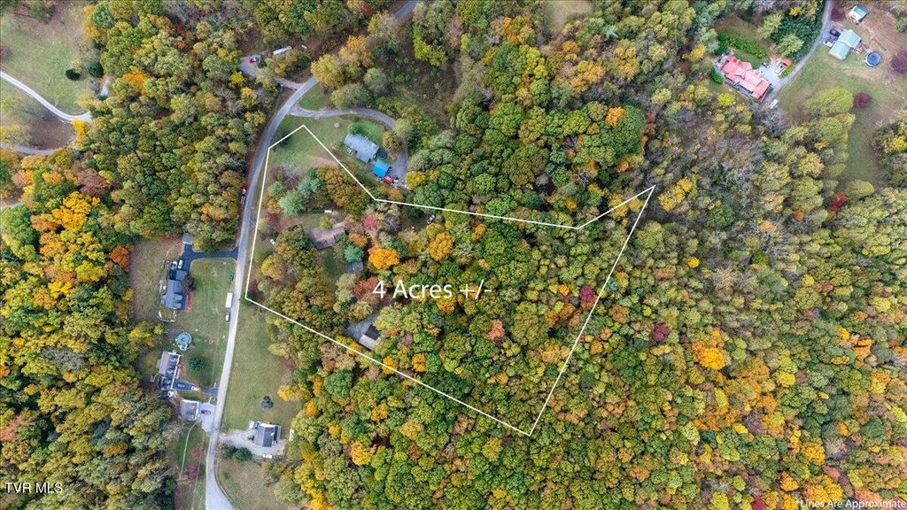 Photo of 133 Hickory Hollow Road, Elizabethton, TN 37643 (MLS # 9987547)