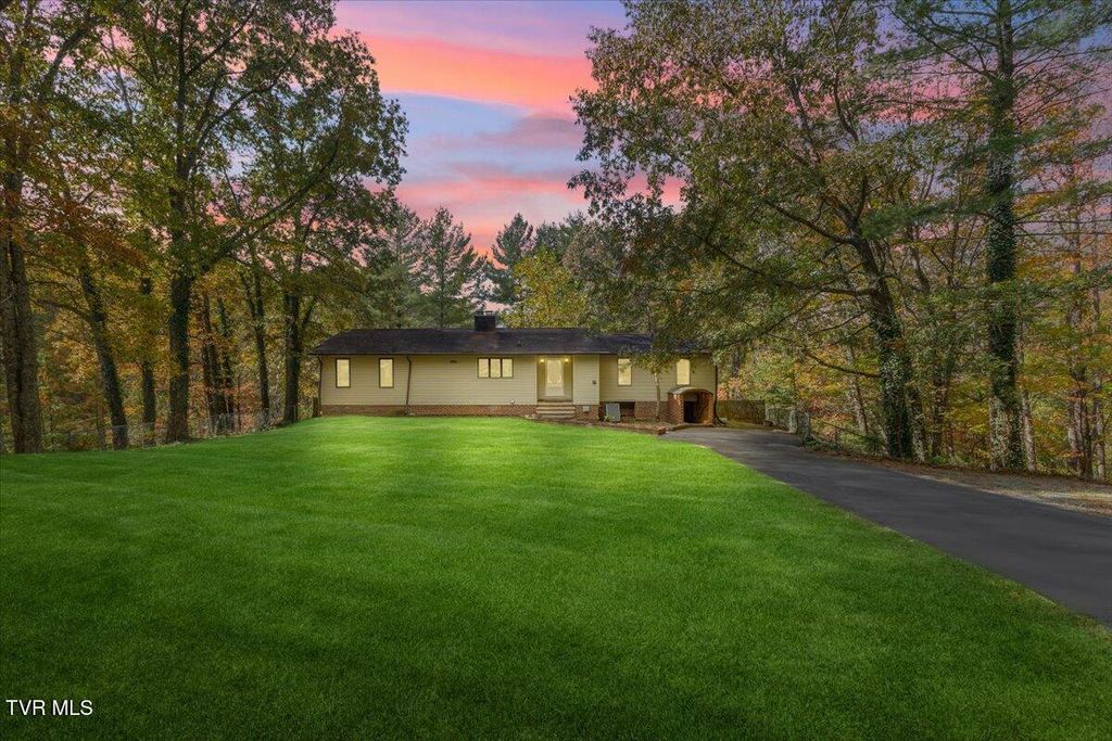 Photo of 133 Hickory Hollow Road, Elizabethton, TN 37643 (MLS # 9987547)