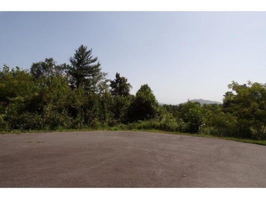136 DEER CREEK XING, MOUNTAIN CITY, TN 37683 - Image 0b4fea77fb73df9169433e6494d8a2db/1967869937