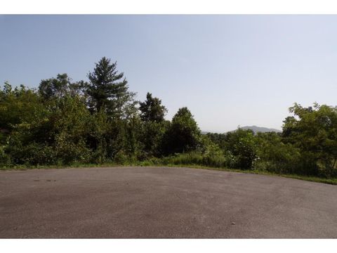 Vacant Land For Sale - TBD Arrowhead Trail Lot 12 Dr<br/> Mountain City, TN 37683