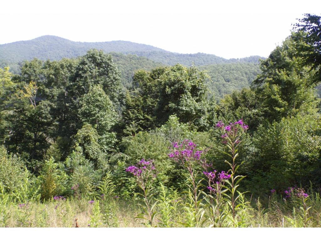 Tbd Arrowhead Trail Lot 12, Mountain City, Tennessee image 2
