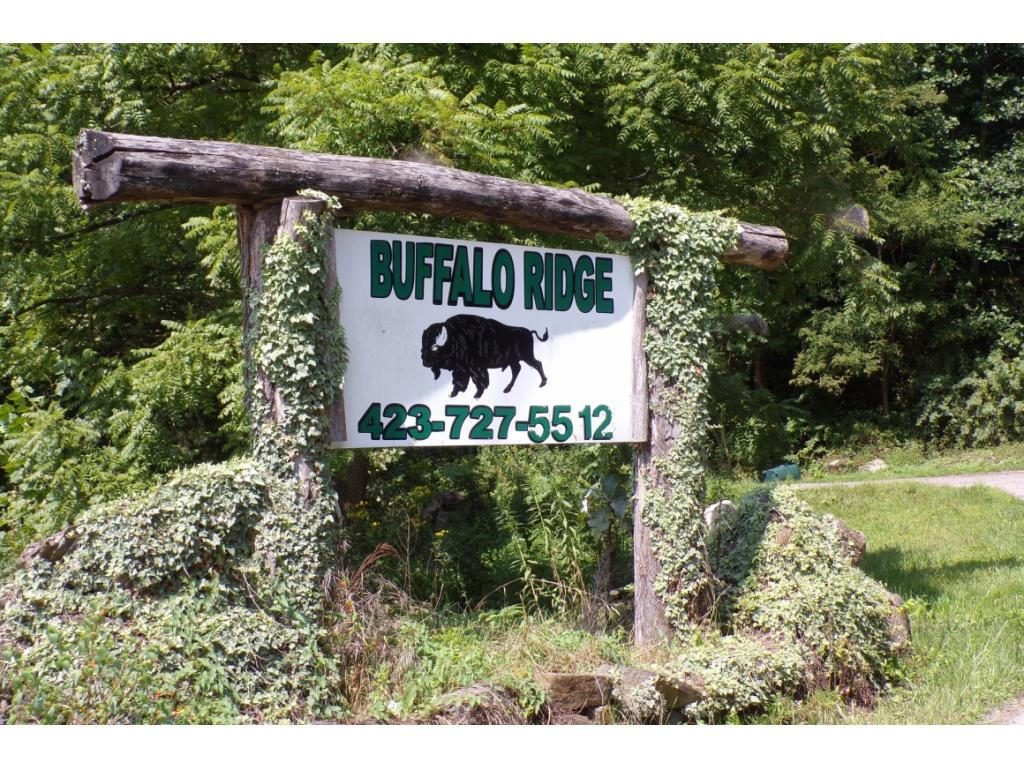 Tbd Arrowhead Trail Lot 12, Mountain City, Tennessee image 3