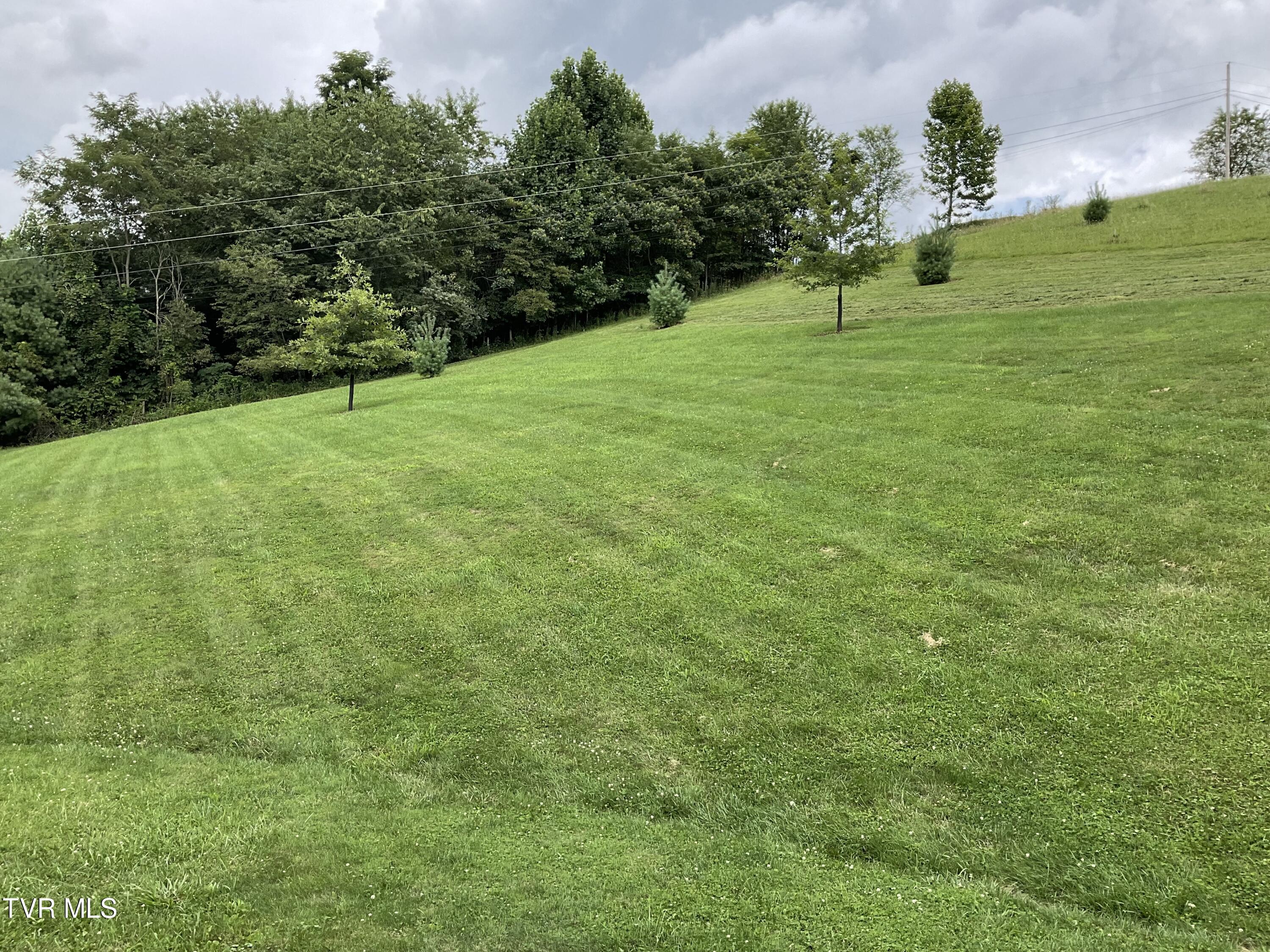 2520 Divide Road, Mountain City, Tennessee image 30