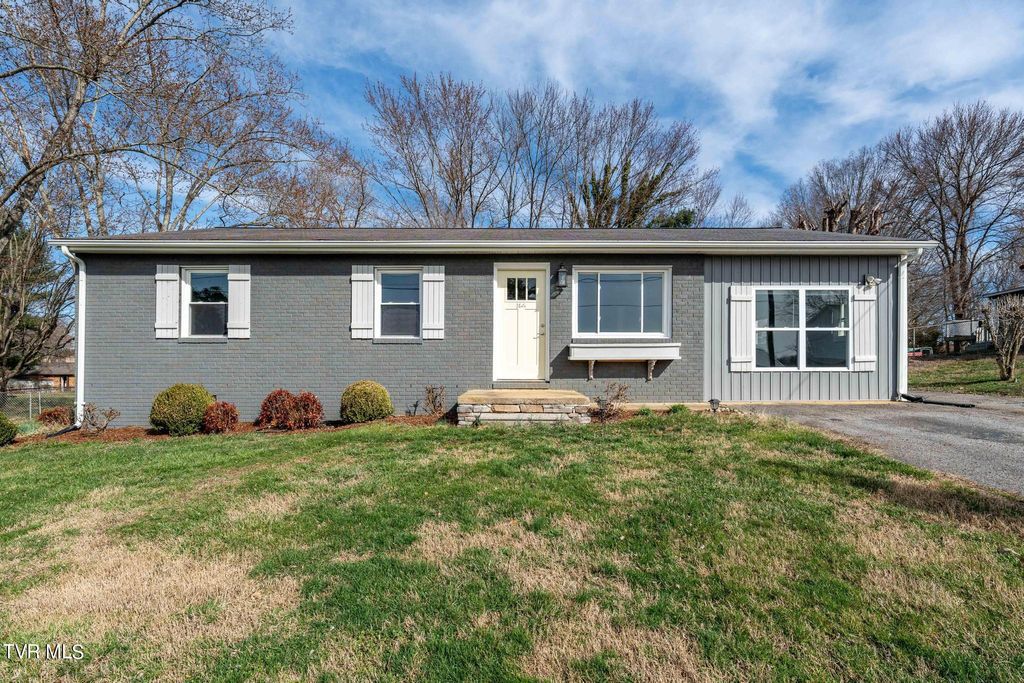 Photo of 166 Valleyview Street, Gray, TN 37615 (MLS # 9987903)