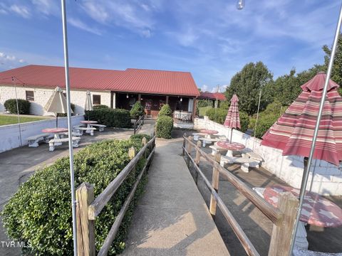 Photo of 6335 Andrew Johnson Highway, Mosheim, TN 37818 (MLS # 9969724)
