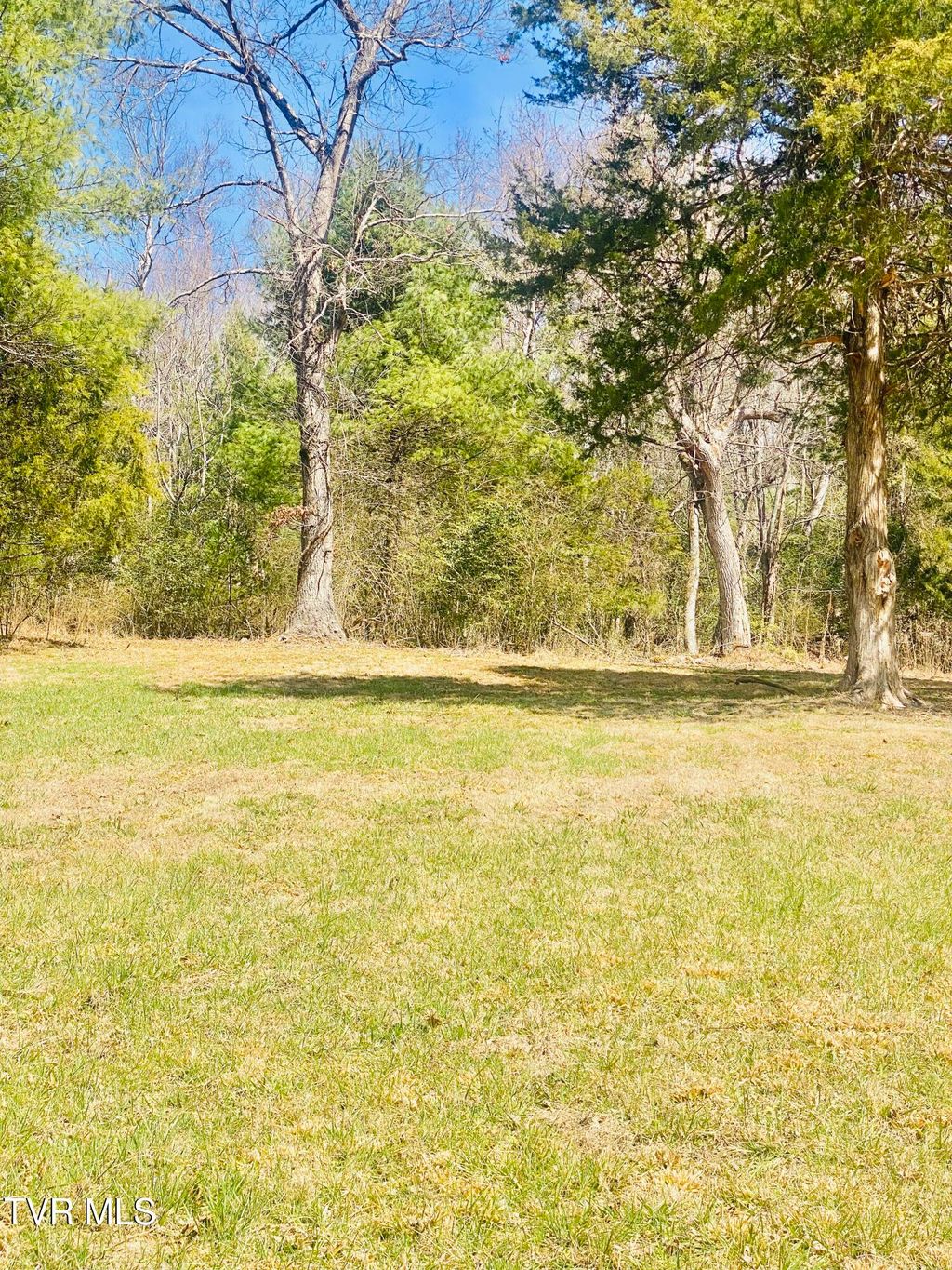 Photo of Lot Vineyard Valley Drive, Butler, TN 37640 (MLS # 9993837)