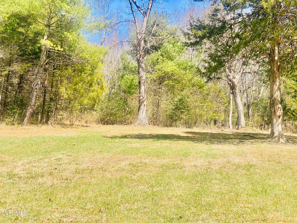 Photo of Lot Vineyard Valley Drive, Butler, TN 37640 (MLS # 9993837)