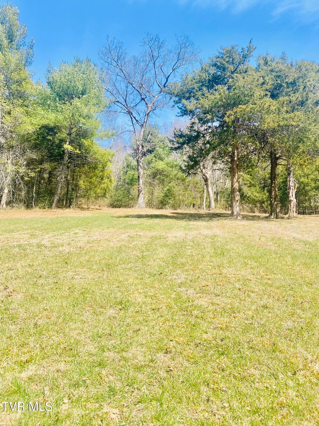 Photo of Lot Vineyard Valley Drive, Butler, TN 37640 (MLS # 9993837)