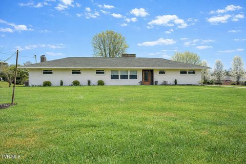 Photo of 105 Mcteer Drive, Kingsport, TN 37663 (MLS # 9992469)