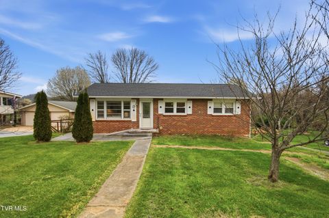 Photo of 926 Mountain View Road, Johnson City, TN 37601 (MLS # 9995612)
