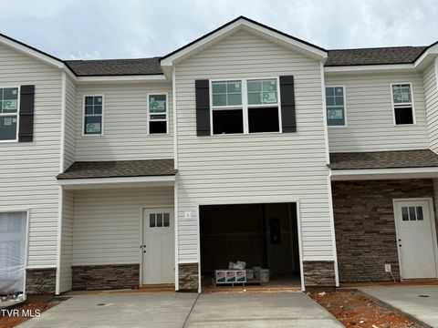 Townhouse For Sale - 124 Holt Way Way<br/> Blountville, TN 37617