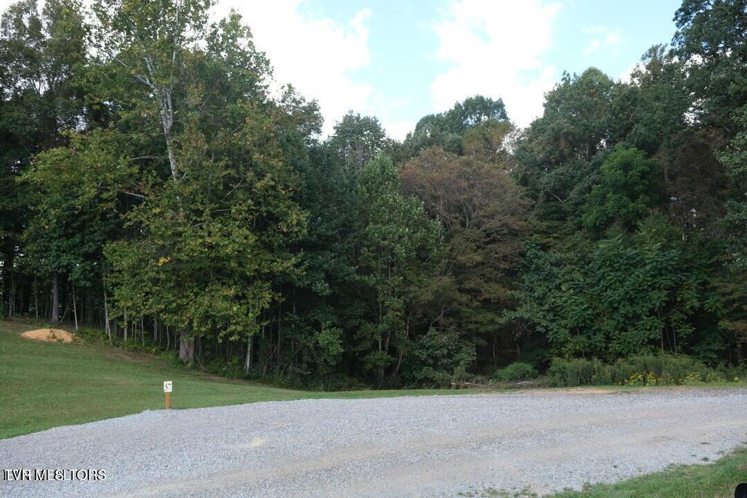 Lot 37 Draft Drive, Butler, Tennessee image 14