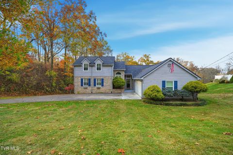 Photo of 212 Old Castle Road, Kingsport, TN 37660 (MLS # 9988206)