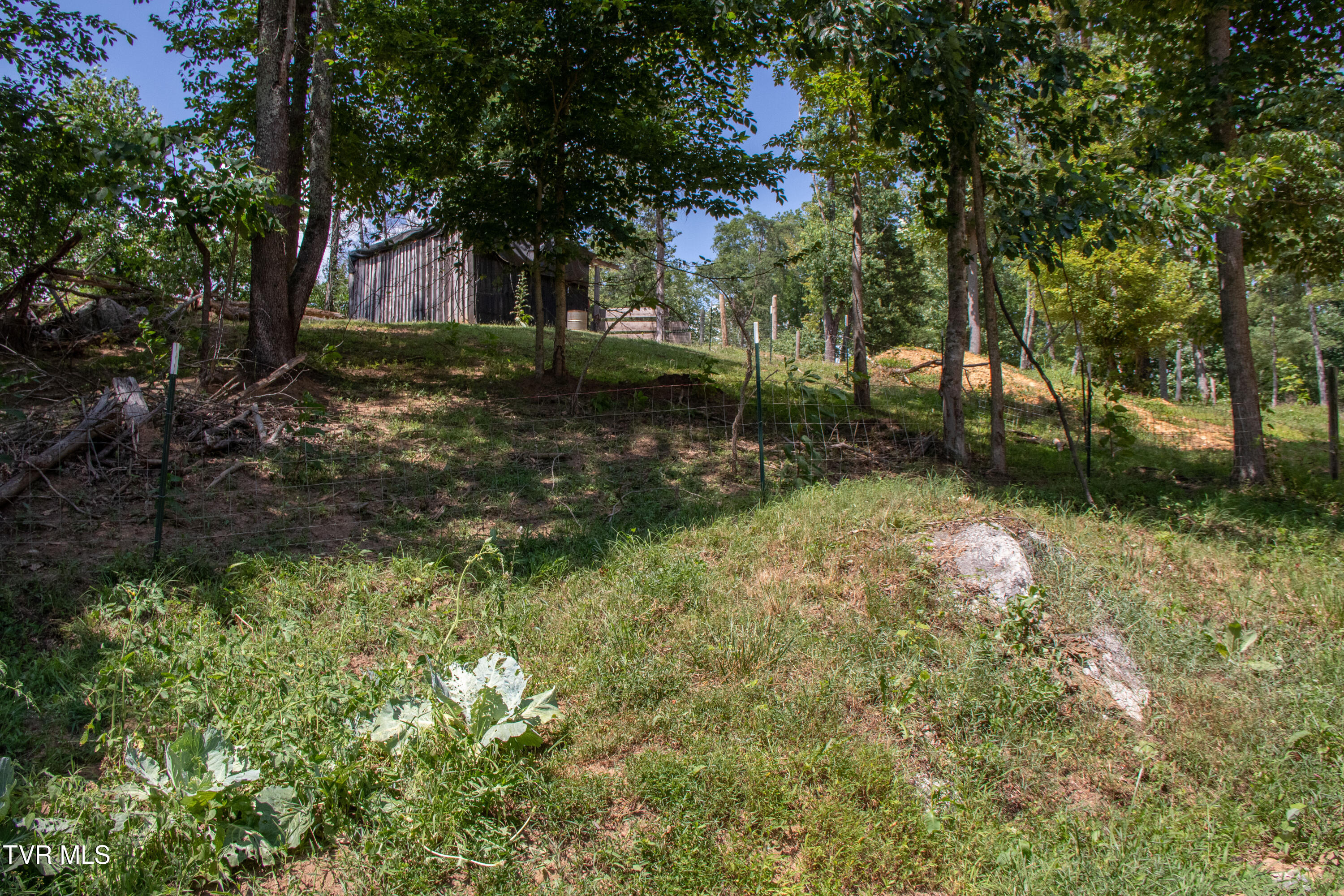 Abingdon, Virginia 24211, United States, 3 Bedrooms Bedrooms, ,2 BathroomsBathrooms,Residential,Active,168815