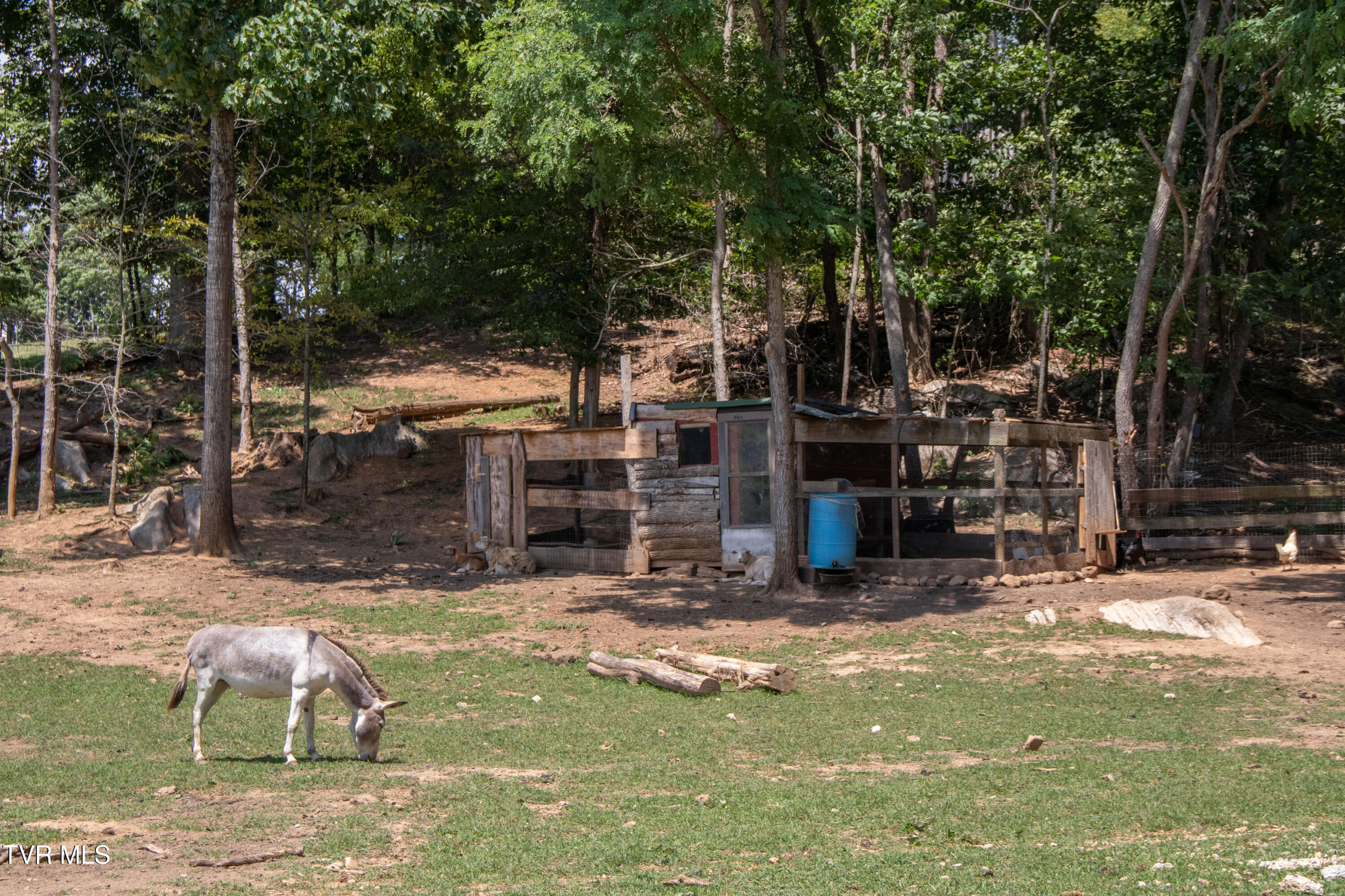 Abingdon, Virginia 24211, United States, 3 Bedrooms Bedrooms, ,2 BathroomsBathrooms,Residential,Active,168815