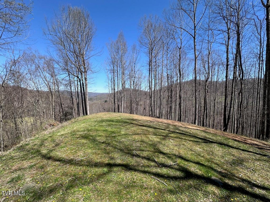 Photo of Tbd Roan Springs Road, Roan Mountain, TN 37687 (MLS # 10002051)