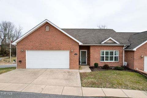 Photo of 132 Southridge Drive #1, Greeneville, TN 37743 (MLS # 9991382)
