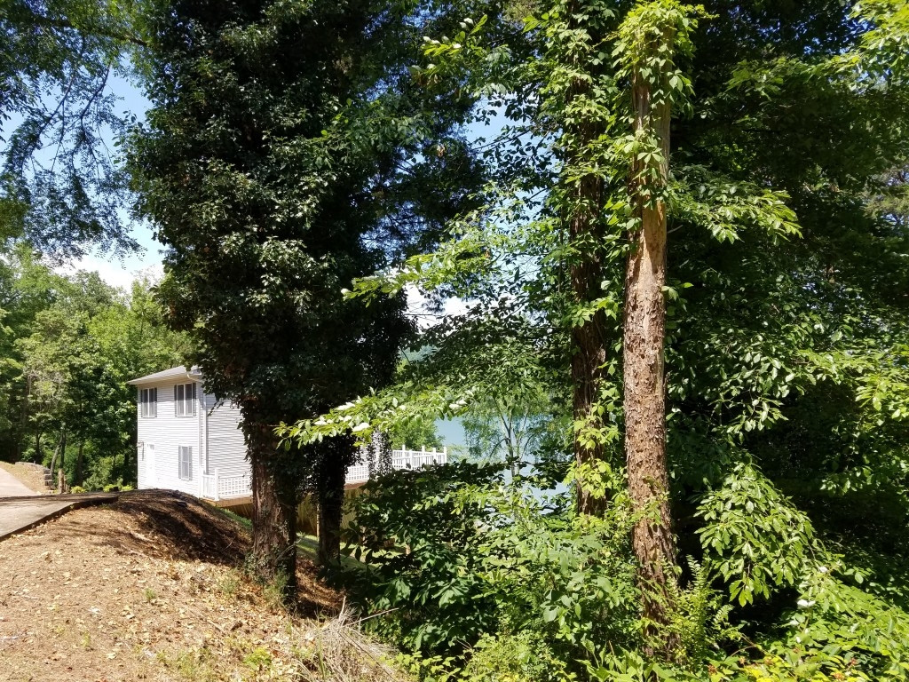374 Chelaque Way, Mooresburg, Tennessee image 17